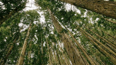 Cyber Security - professional stock photography