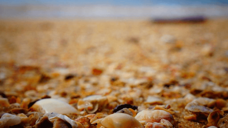 Network - professional stock photography