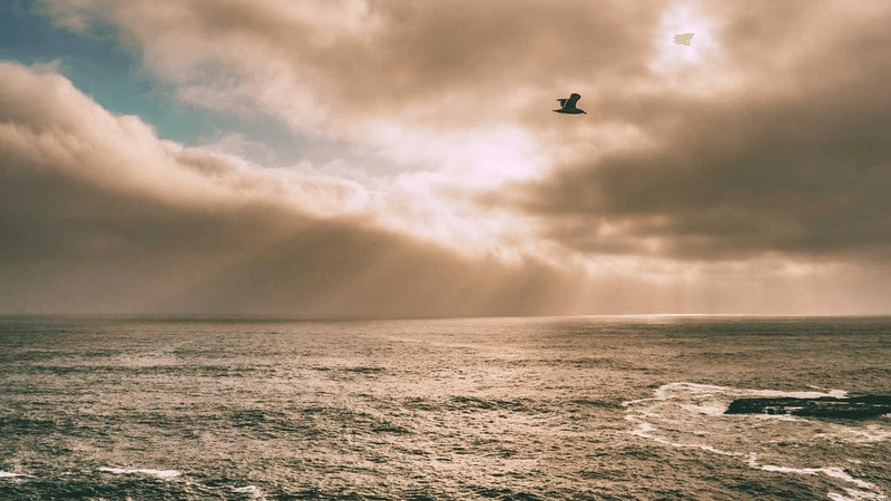 Robot - professional stock photography