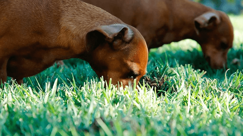 Server Room - professional stock photography