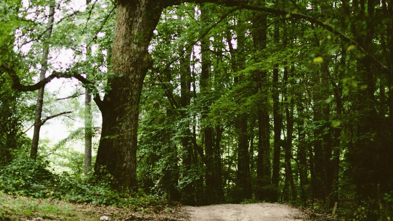 Web Design - professional stock photography